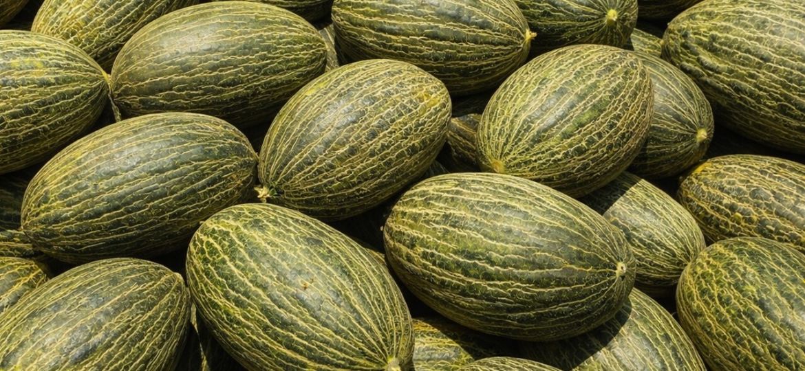 Melones de Brasil (foto de archivo a título ilustrativo)