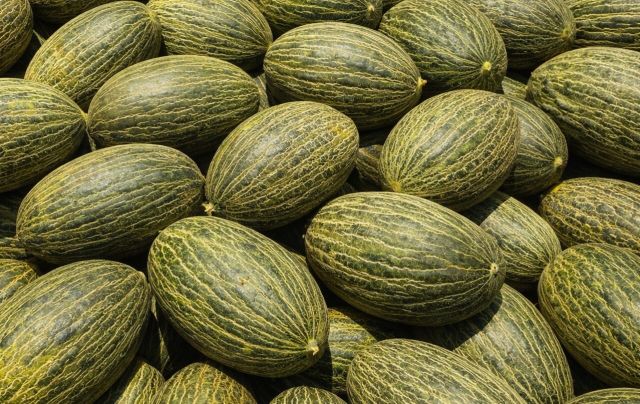 Melones de Brasil (foto de archivo a título ilustrativo)