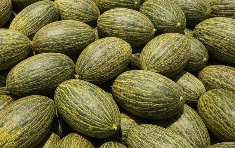 Melones de Brasil (foto de archivo a título ilustrativo)
